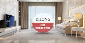 公司介绍